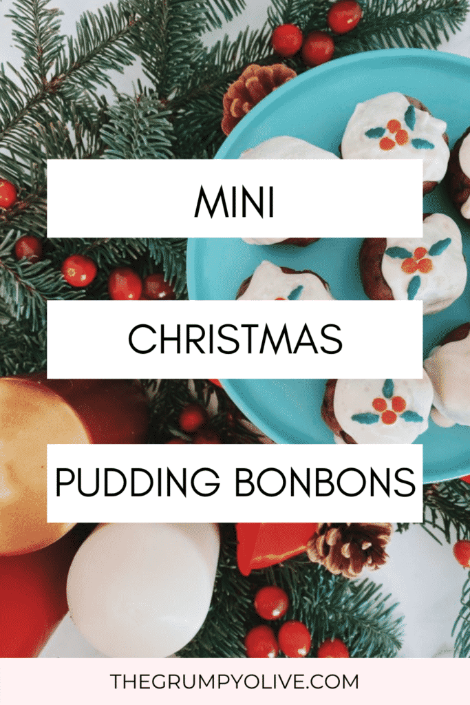 Mini Christmas Puddings Bonbons 3 watermelon 22