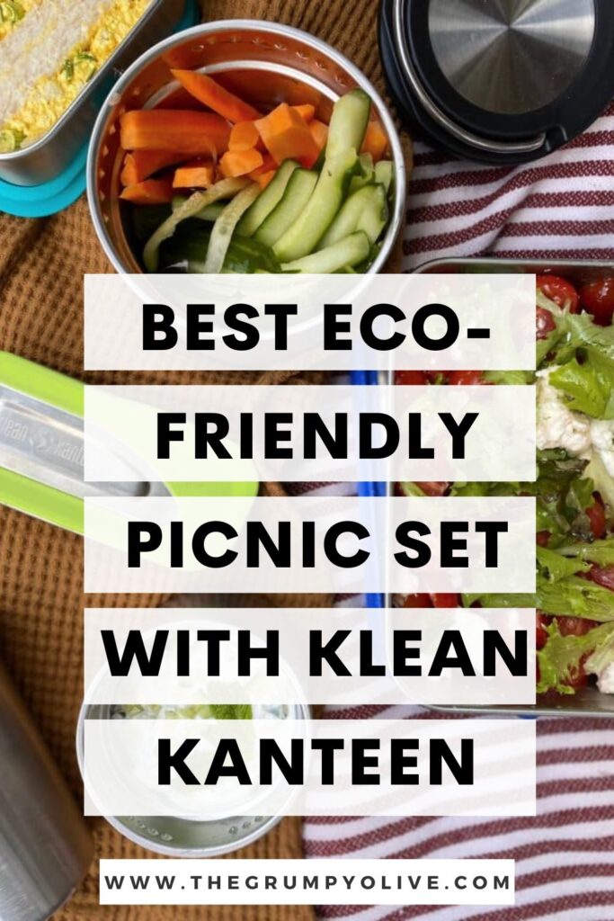 eco friendly picnic 5