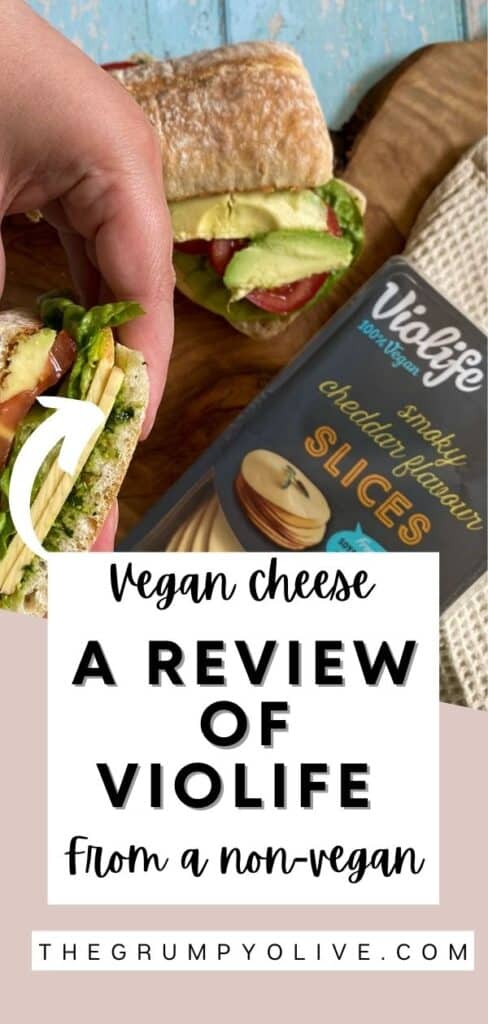Violife Cheese Review From A Non-Vegan 7 JUNE BLOGS 2