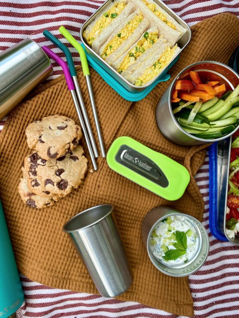 eco friendly picnic set