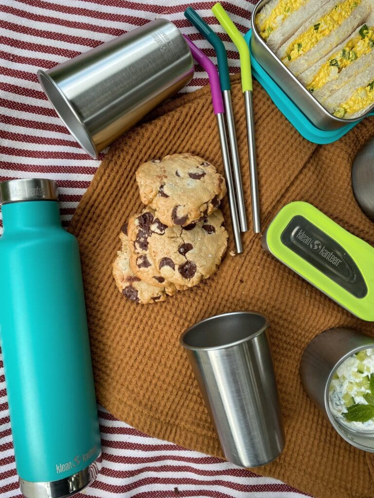 eco friendly picnic set 4