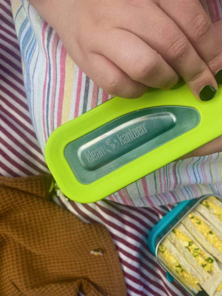 eco friendly picnic set