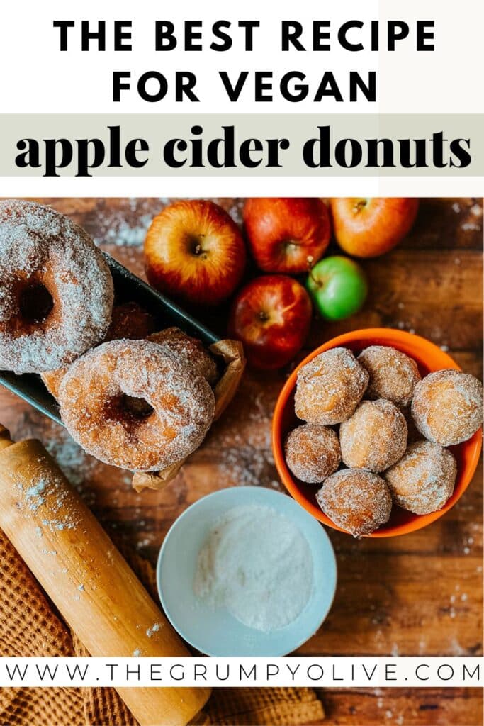 Delicious Vegan Apple Cider Doughnuts Recipe 10 pin image vegan apple cider doughnuts