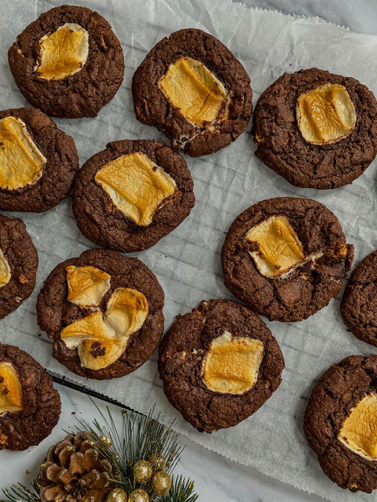Vegan Hot Chocolate Cookies 4 hotchoc cookies1
