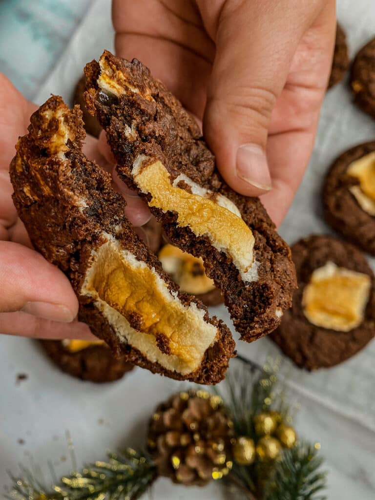 Vegan Hot Chocolate Cookies 6 hotchoc cookies4