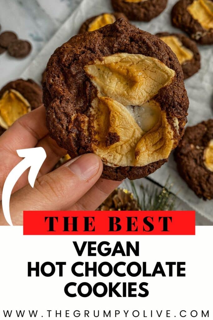 Vegan Hot Chocolate Cookies 9 VEGAN HOT CHOCOLATE COOKIES