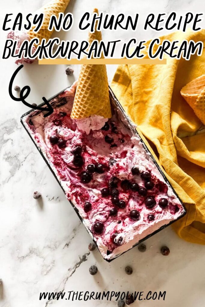 Blackcurrant Ice Cream: The Delicious Summer Recipe 8 blackcurrant ice cream 1