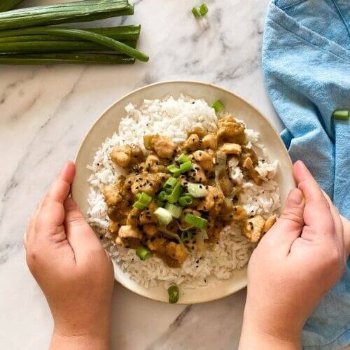Miso Chicken Aubergine Recipe 4 two hands holding a plate of miso chicken with aubergine on a plate of rice, under a towel, green onions and garlic seeds in bowls, on a marble background